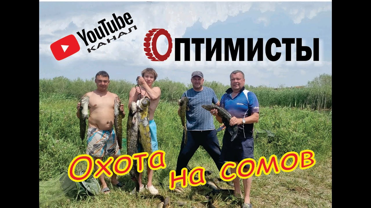 Охота за большими сомами