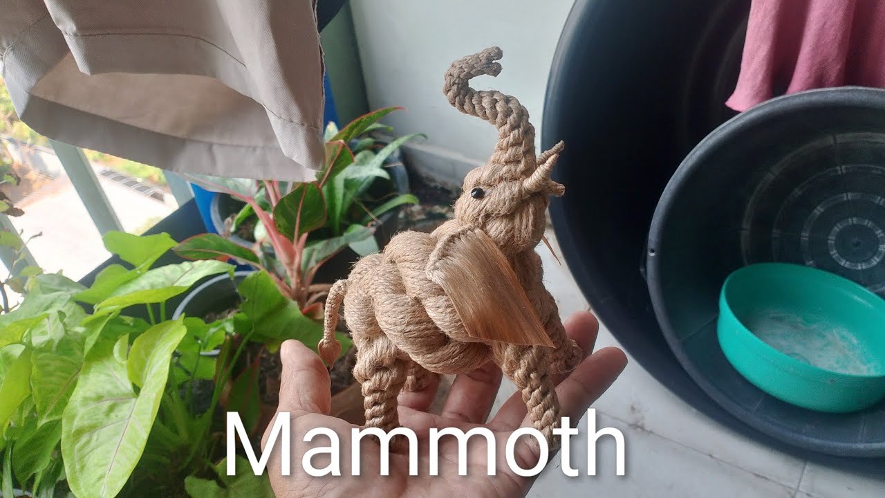 Mammoth eyes ตาแมมมอธ