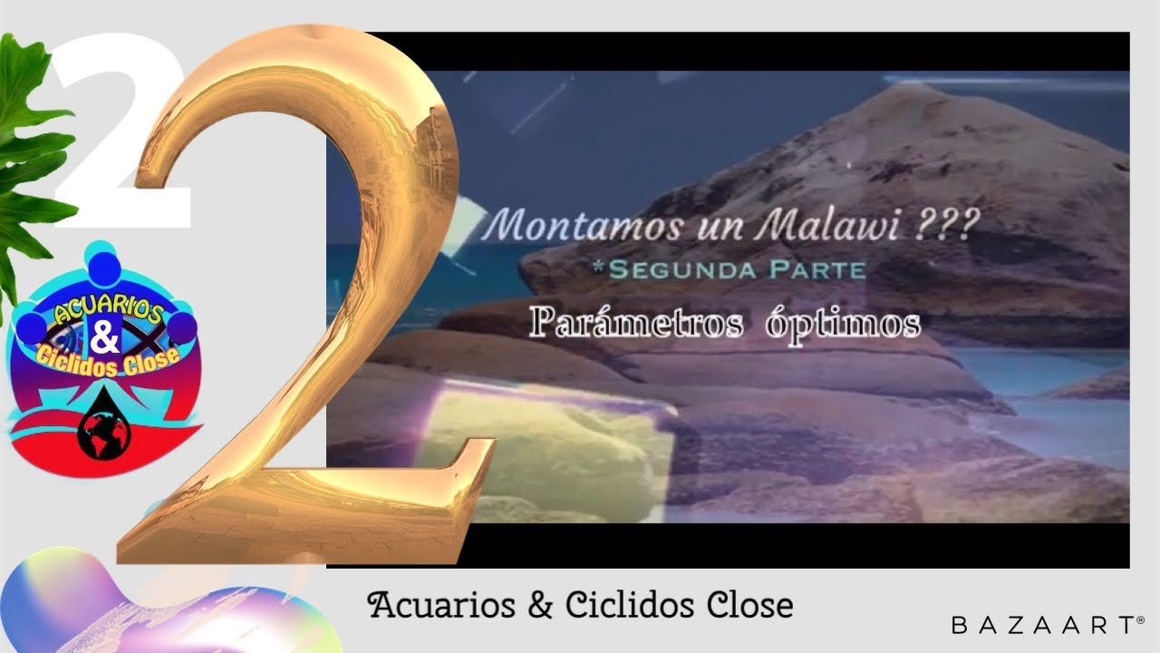 Montamos un acuario del Malawi ?? Segunda parte ( Parámetros óptimos )