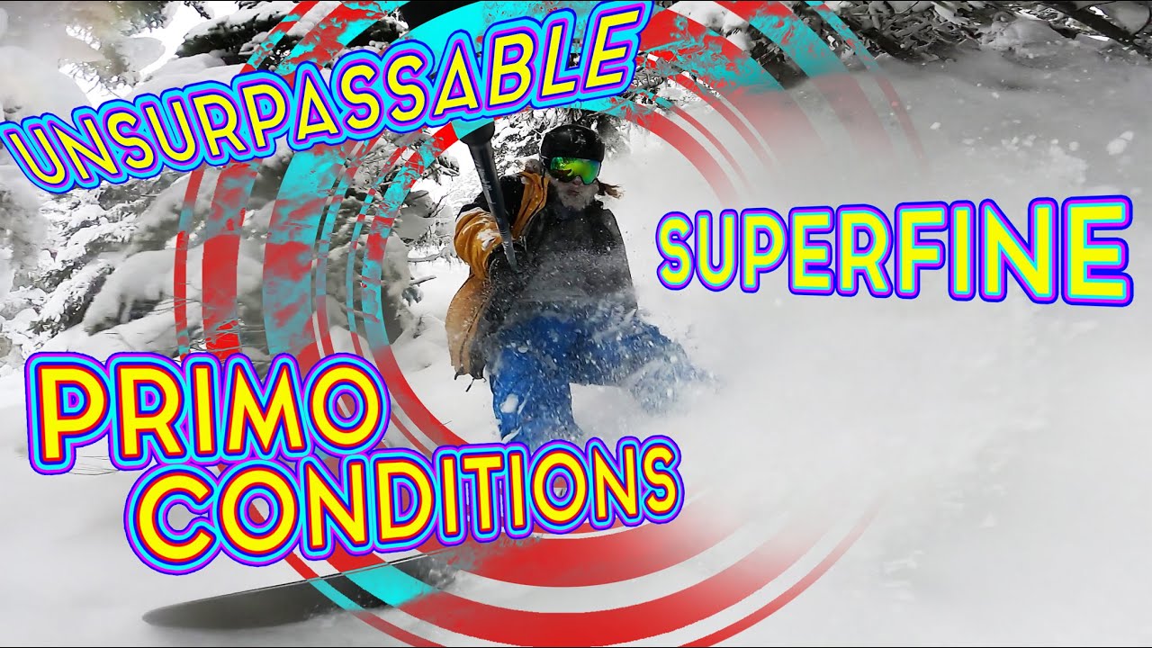 Unsurpassable Superfine Primo Conditions On The Gentemstick Super Fish