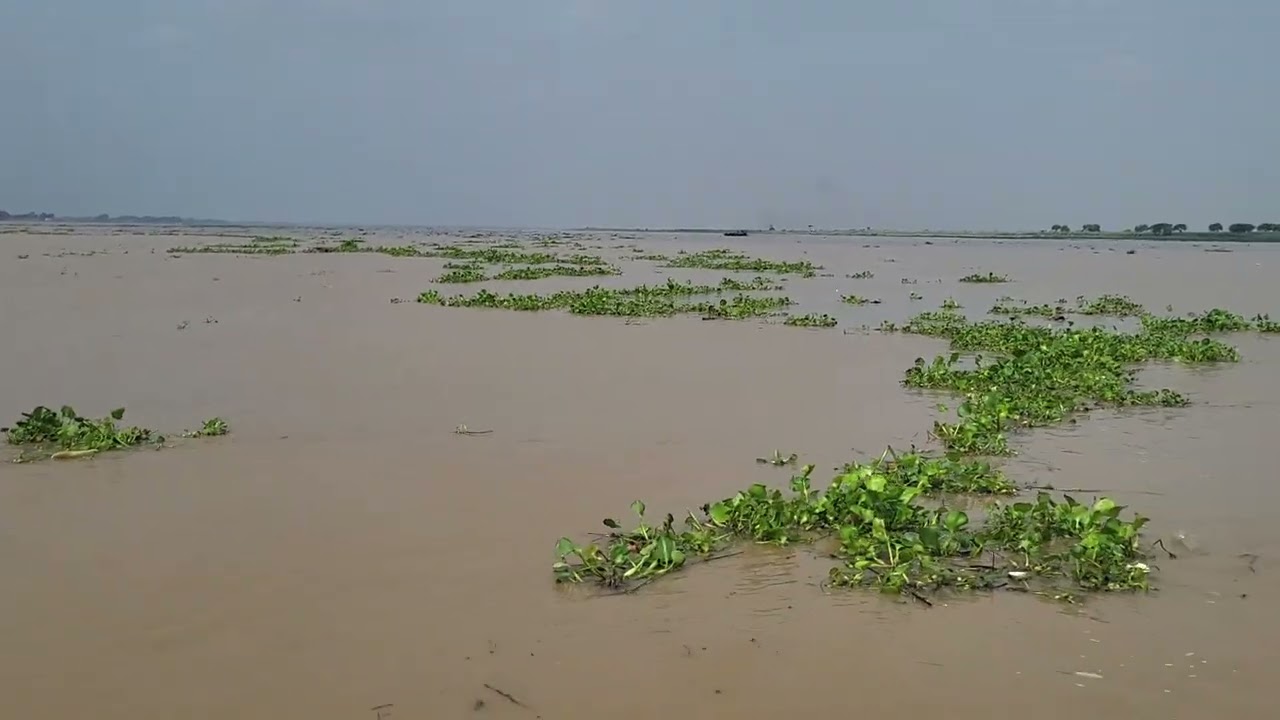 Ganga river flood 