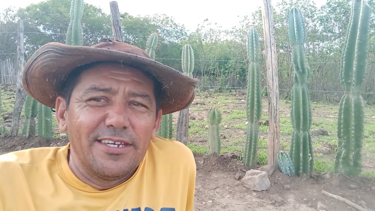 PLANTANDO CERCA VIVA NO SERTAO