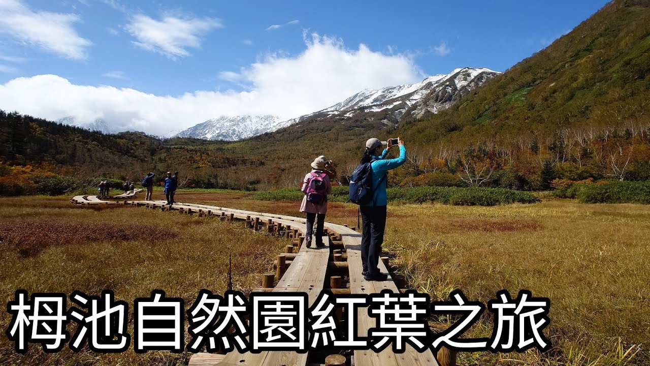 日本中部山岳國立公園：栂池自然園紅葉之旅