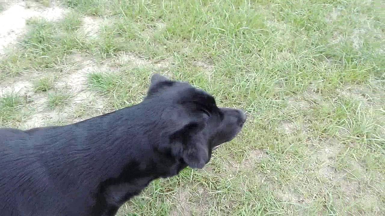 Hrajeme si s B&aacute;rou