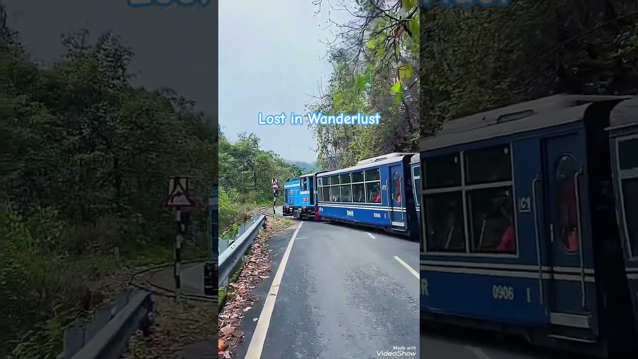 Lost in Wanderlust 