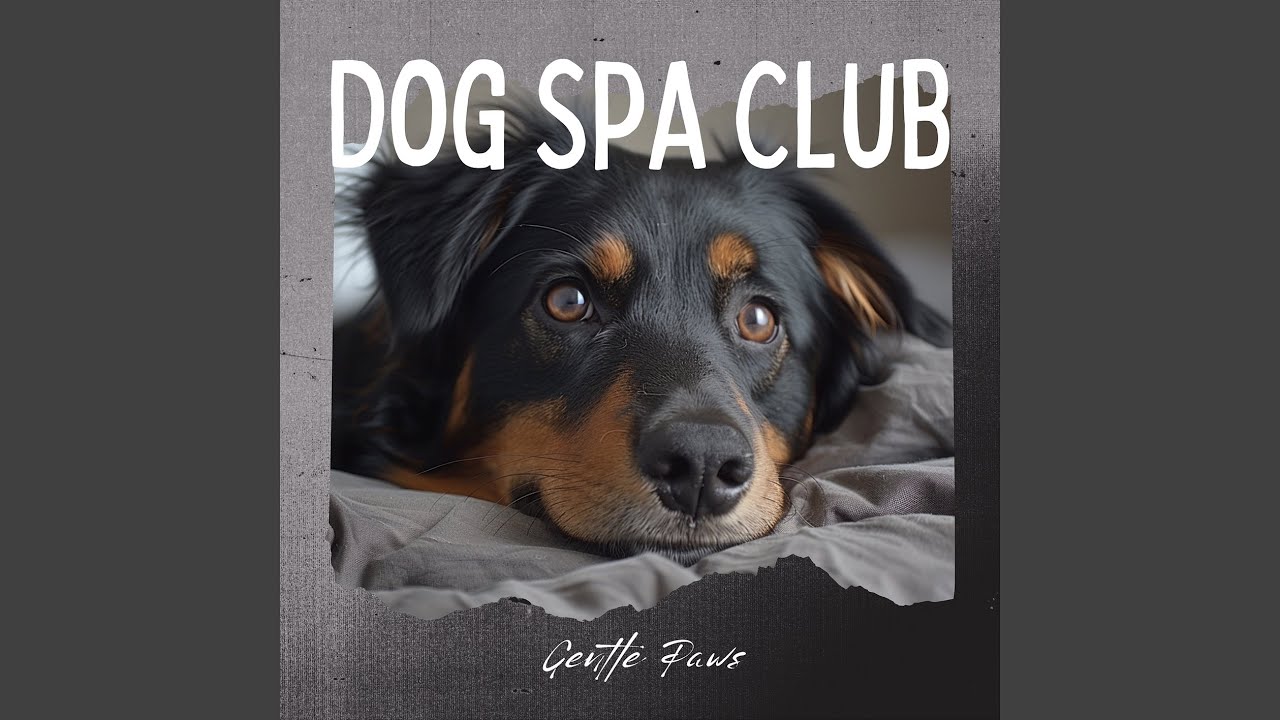 Animal Wellness