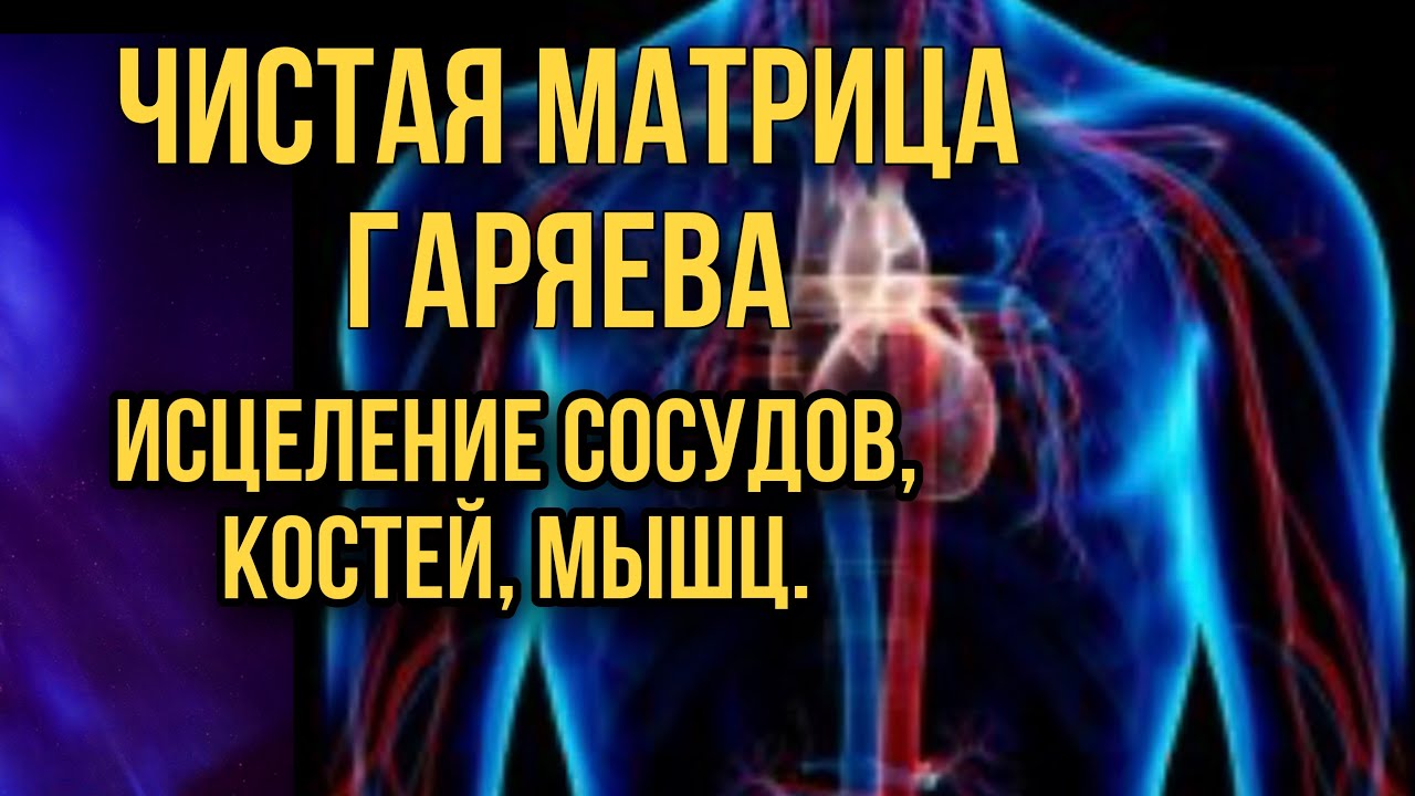 Чистая Матрица Гаряева. Исцеление сосудов, костей, мышц.