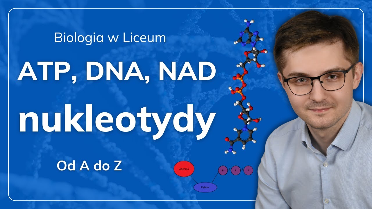 Nukelotydy, DNA, ATP i NAD od A do Z