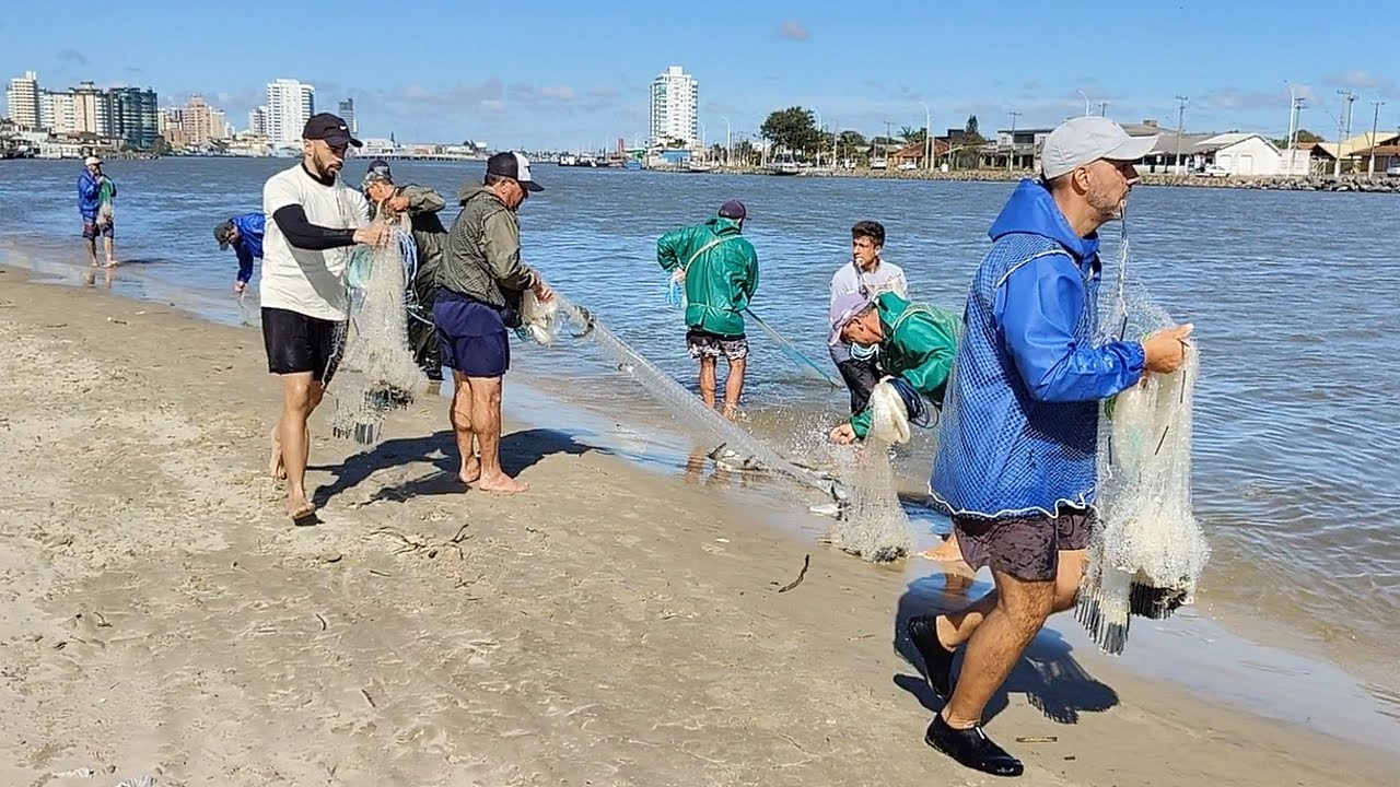 Pesca de tarrafas, 20-10-24, Barra de Tramandaí, RS. #pescadetarrafa #pescadetainha #mullets #fish