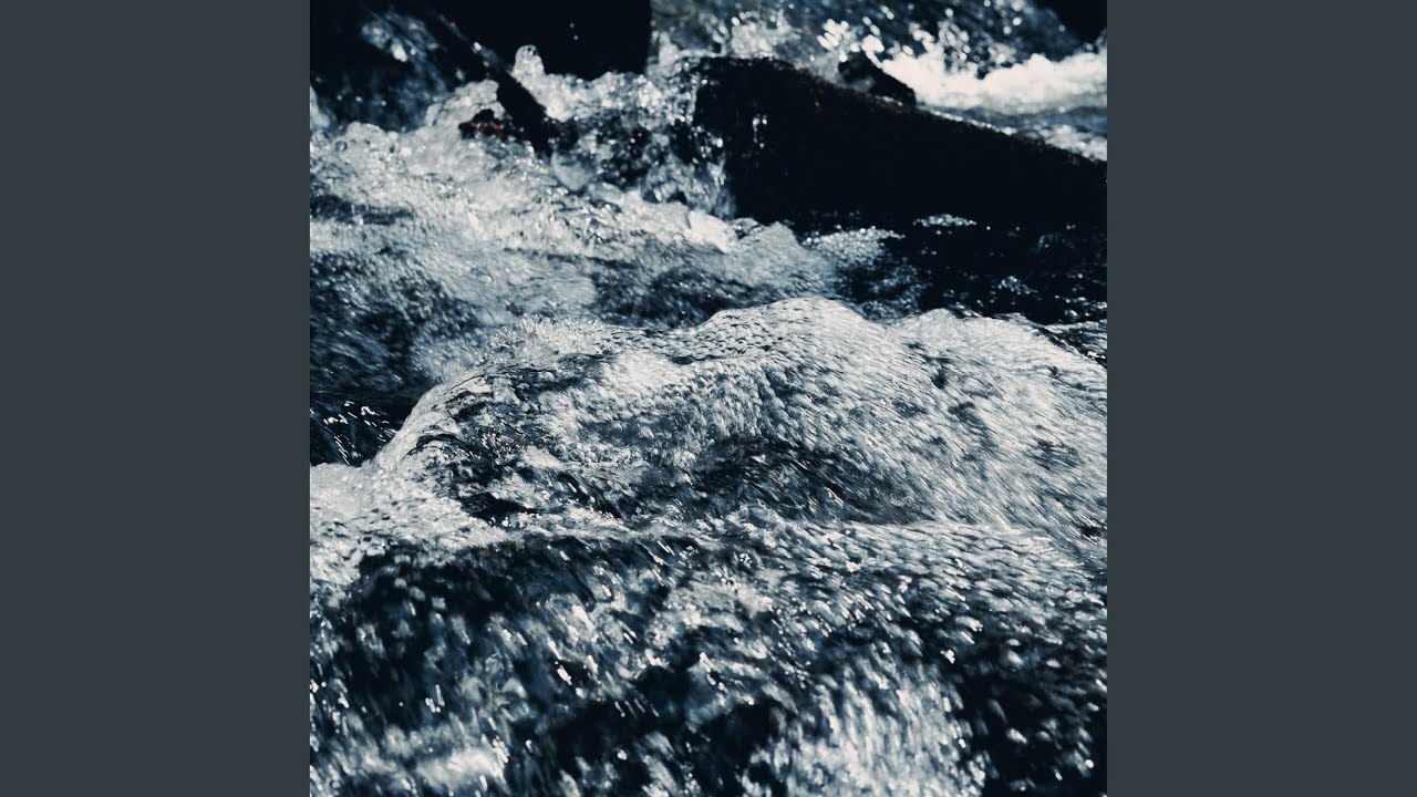 something in the water