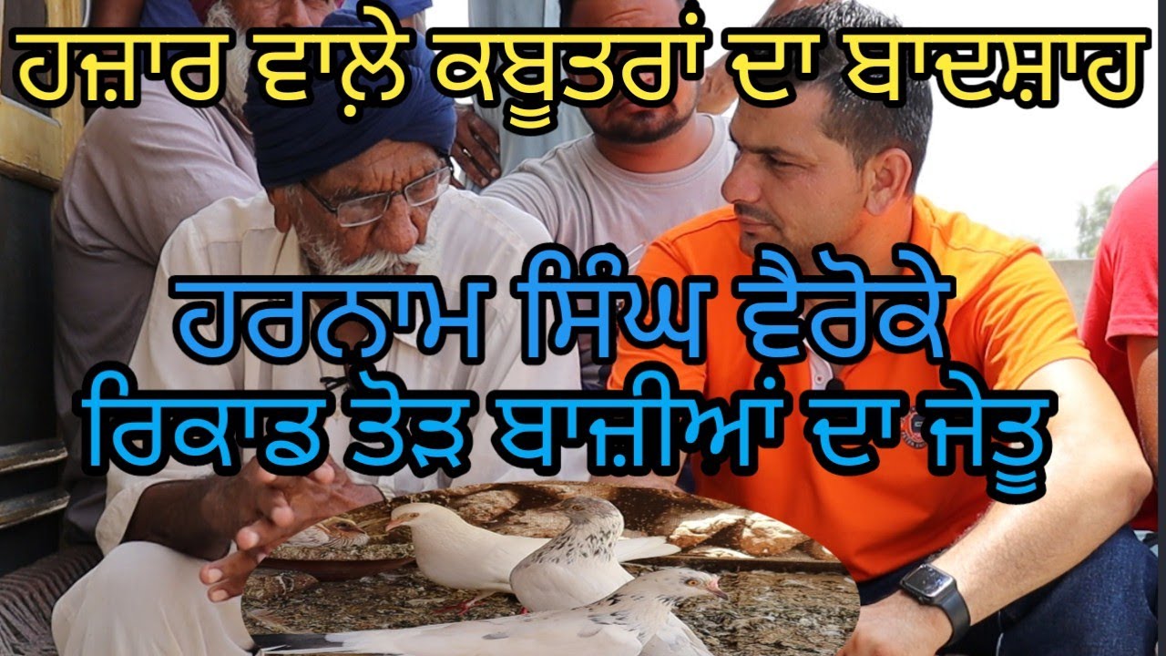 ਹਜ਼ਾਰ ਵਾਲ਼ੇ ਕਬੂਤਰਾਂ ਦਾ ਬਾਦਸ਼ਾਹ ਹਰਨਾਮ ਸਿੰਘ ਵੈਰੋਕੇ|Hajaar wale Kabutar Harnam WaroKe |Harbhej Sidhu |