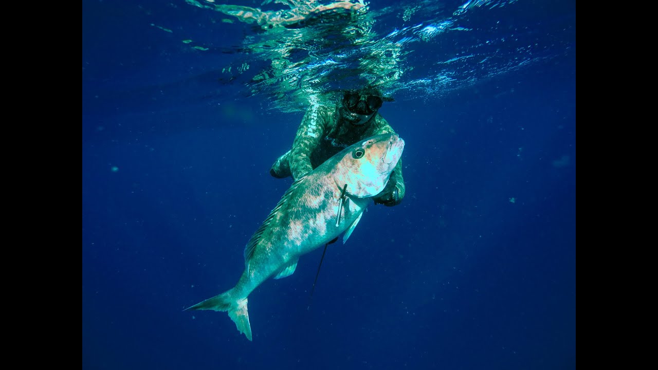 Spearfishing Green Jobfish Mozambique