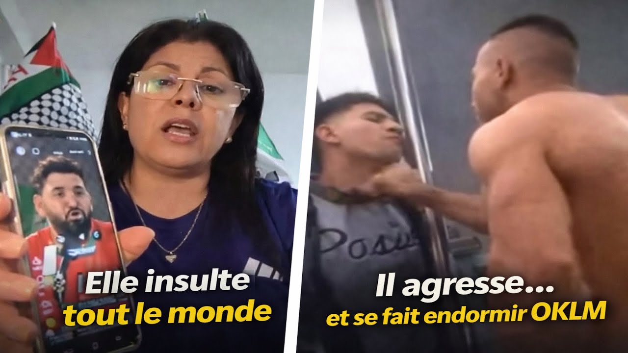 Sofia Benlemmane insulte le Maroc et Mohamed Henni 🤔 Il provoque et se fait éduquer avec un dodo 🥊