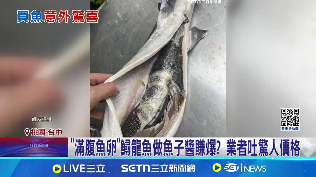剖開鱘龍魚