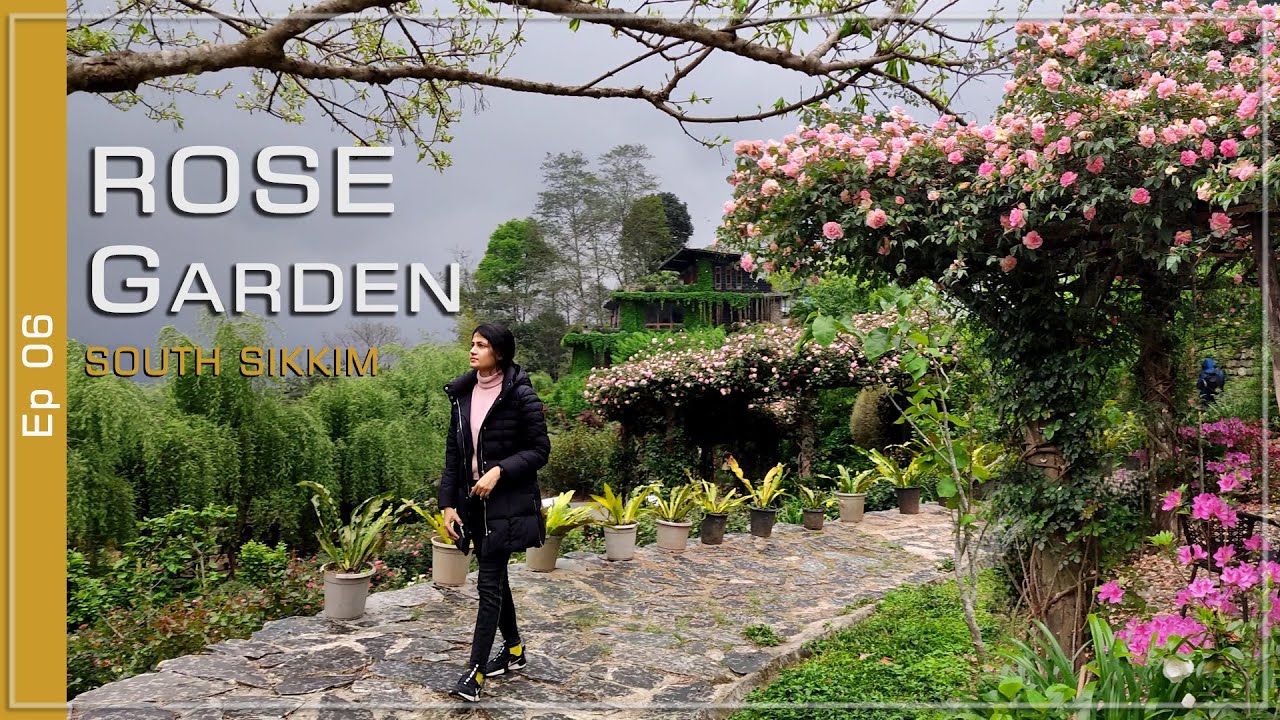 The most beautiful Garden in Sikkim | Rose Garden Solophok, Namchi, South Sikkim | Sikkim Vlog Ep-06