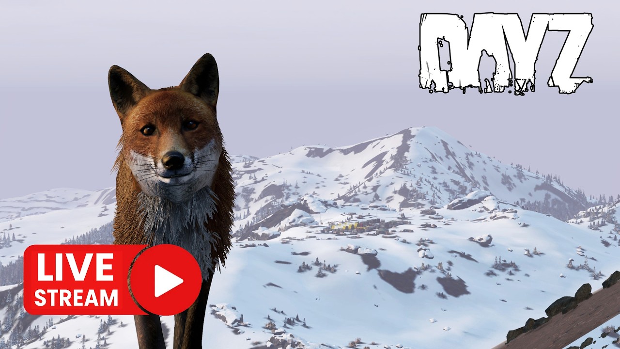 Solo przez Shakal | DayZ