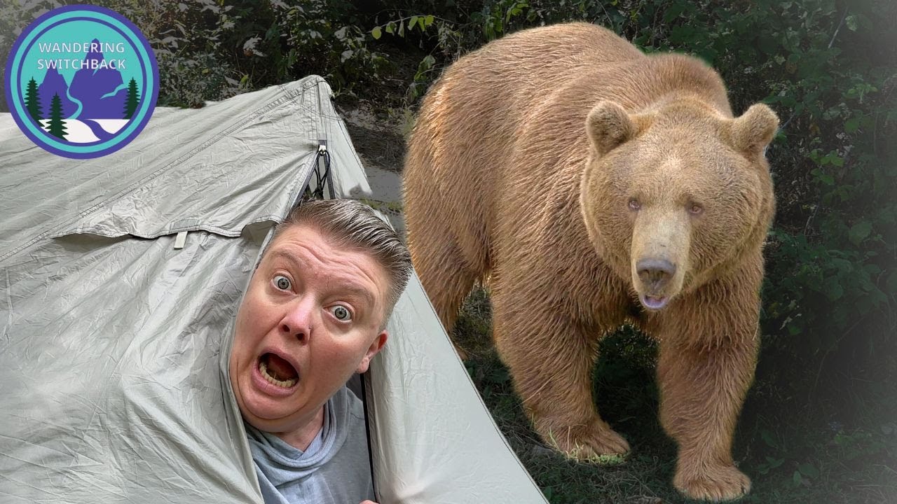 Recreating in Bear Country | Staying Safe while Camping, Hiking, Backpacking and More!