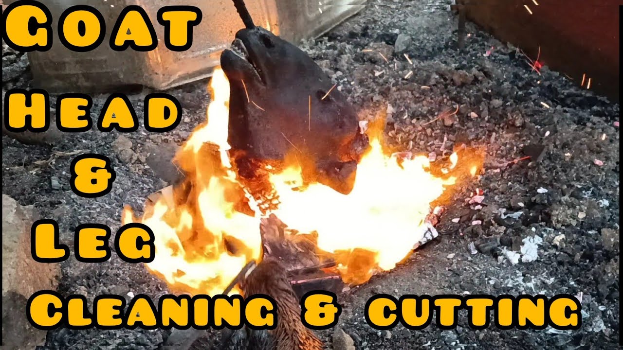 Goat head & leg cleaning | Goat head and leg cutting