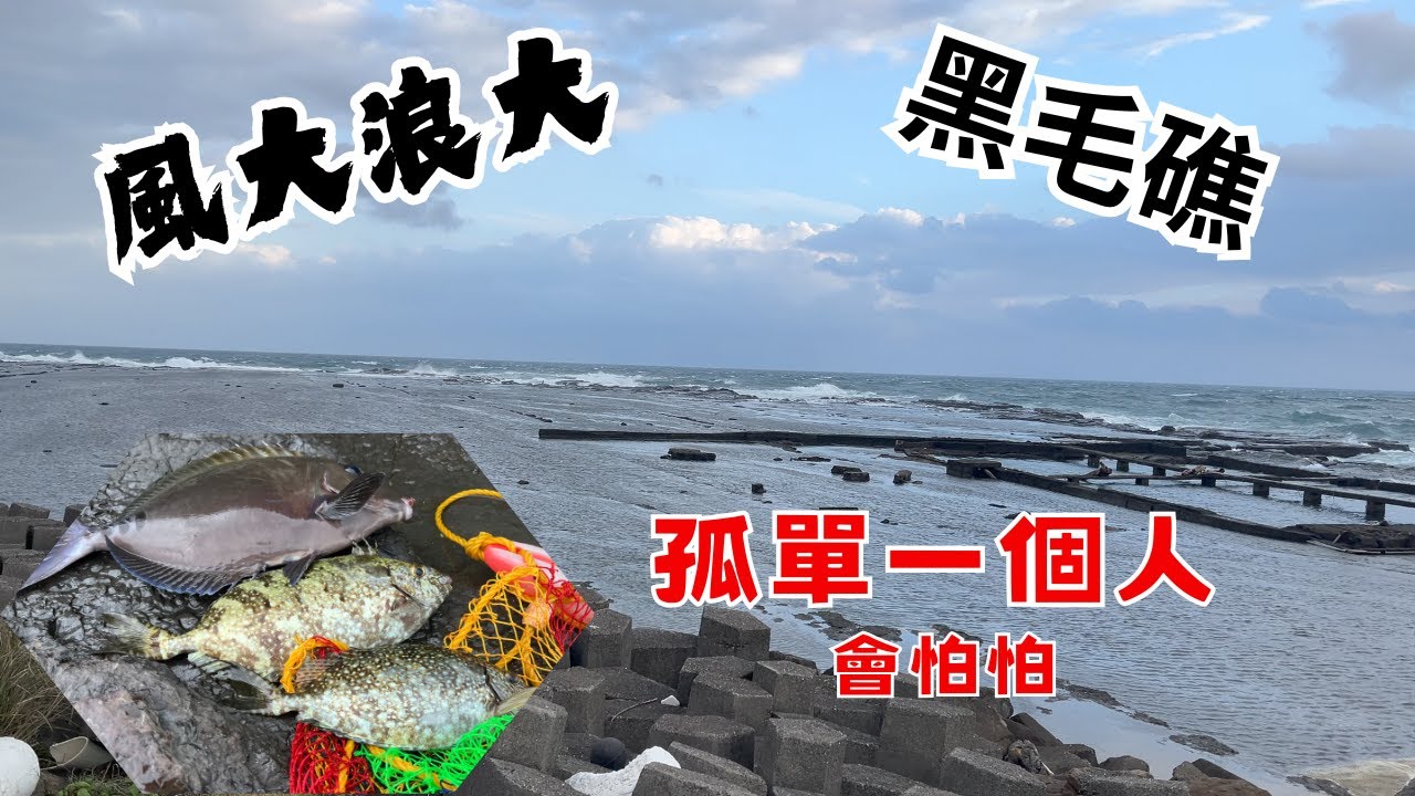 #藻餌磯釣#東北角#馬崗磯釣場#萊萊磯釣場