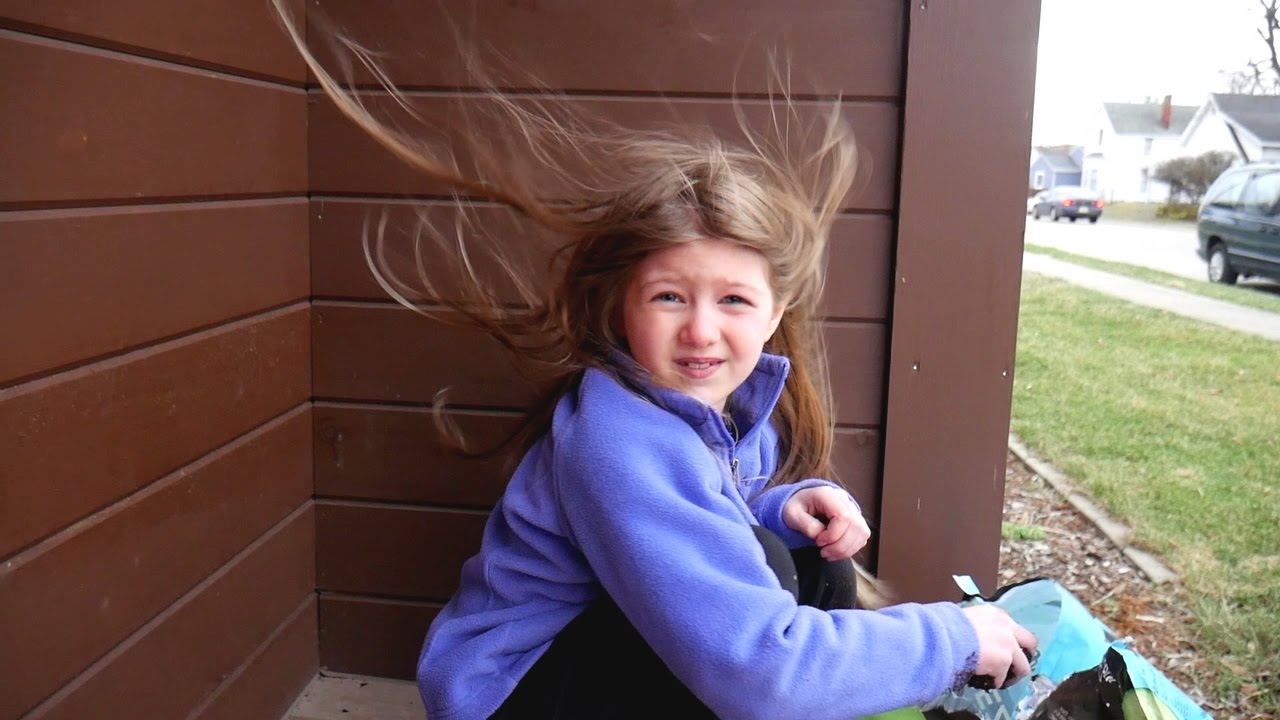 Ferocious Wind While Starting Seeds
