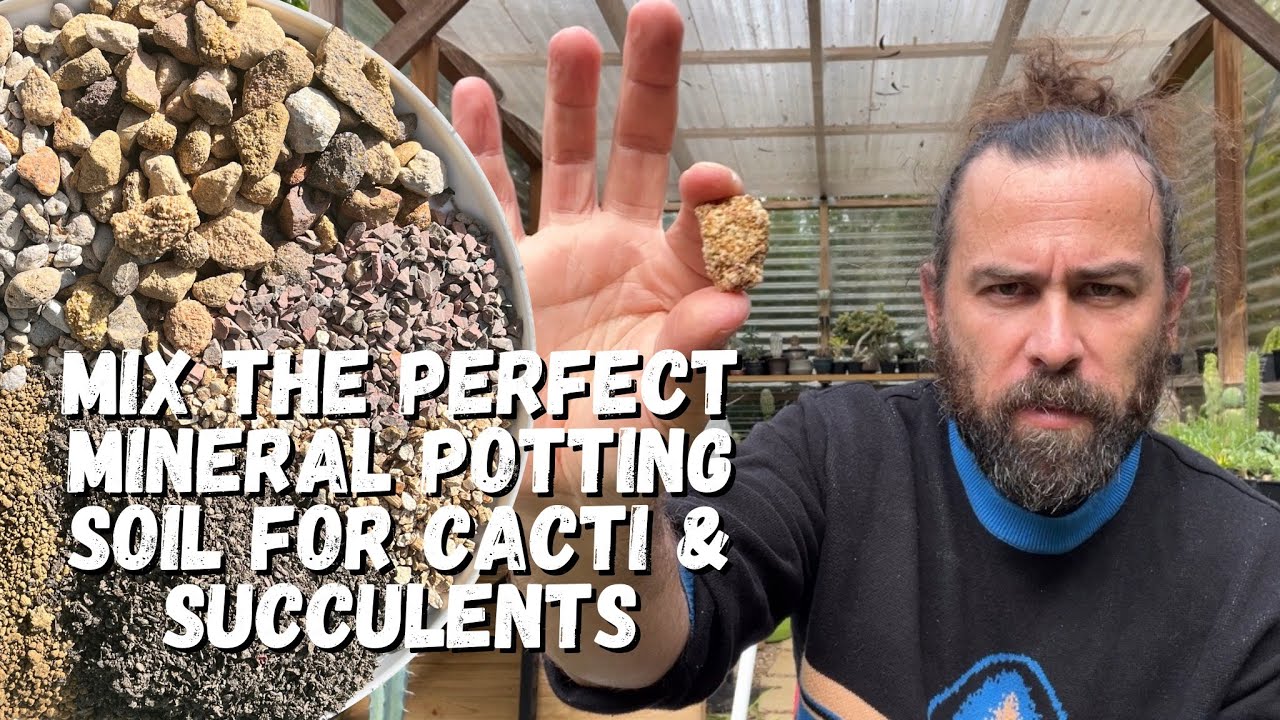 Mineral cactus soil: how to make the perfect mineral soil for cacti and succulents