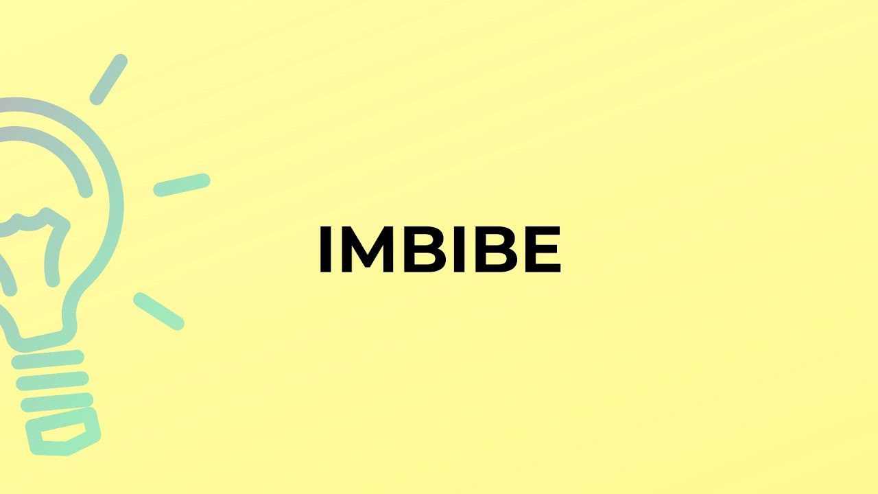 What is the meaning of the word IMBIBE?