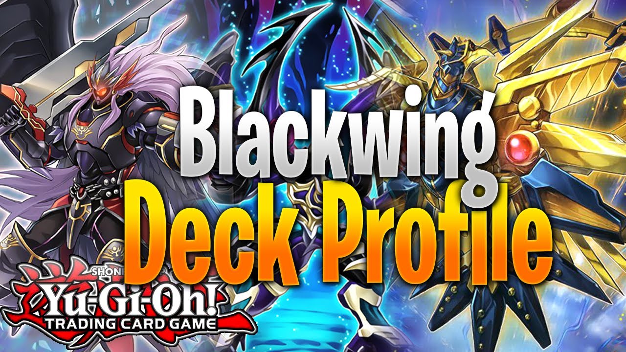 Blackwing Deck Profile | HUGE BOARDS AND COMBOS !!!