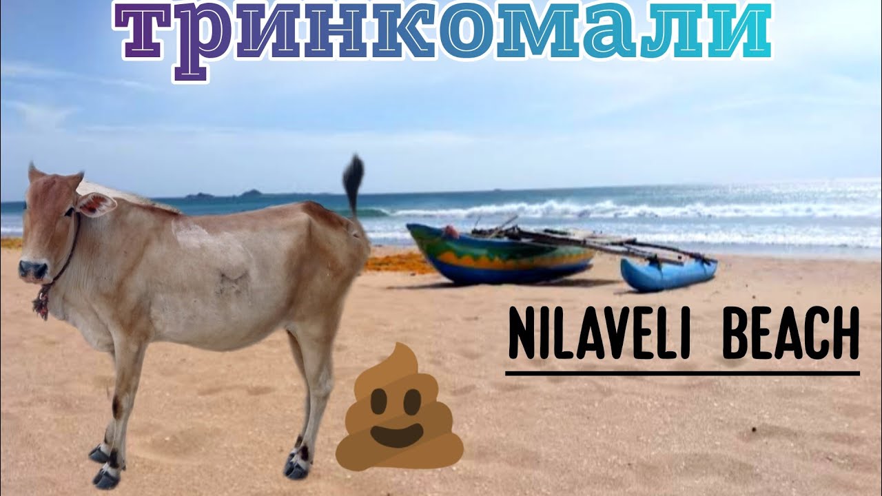 Город Тринкомали. Nilaveli beach. Шри-Ланка 2023