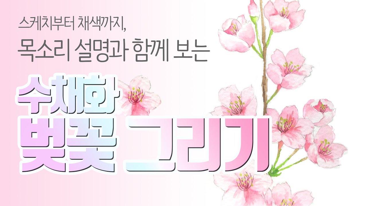 벚꽃 수채화 그리기-스케치와 채색