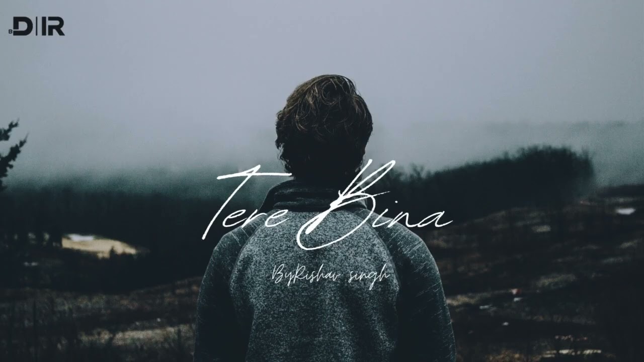 Tere Bina (Full Version) - Rishav Singh