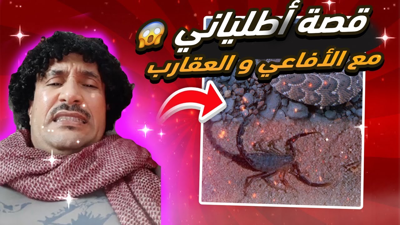 لدغة أعفى كادت ترسل أطلياني للقبر |  المستشفيات بالمغرب