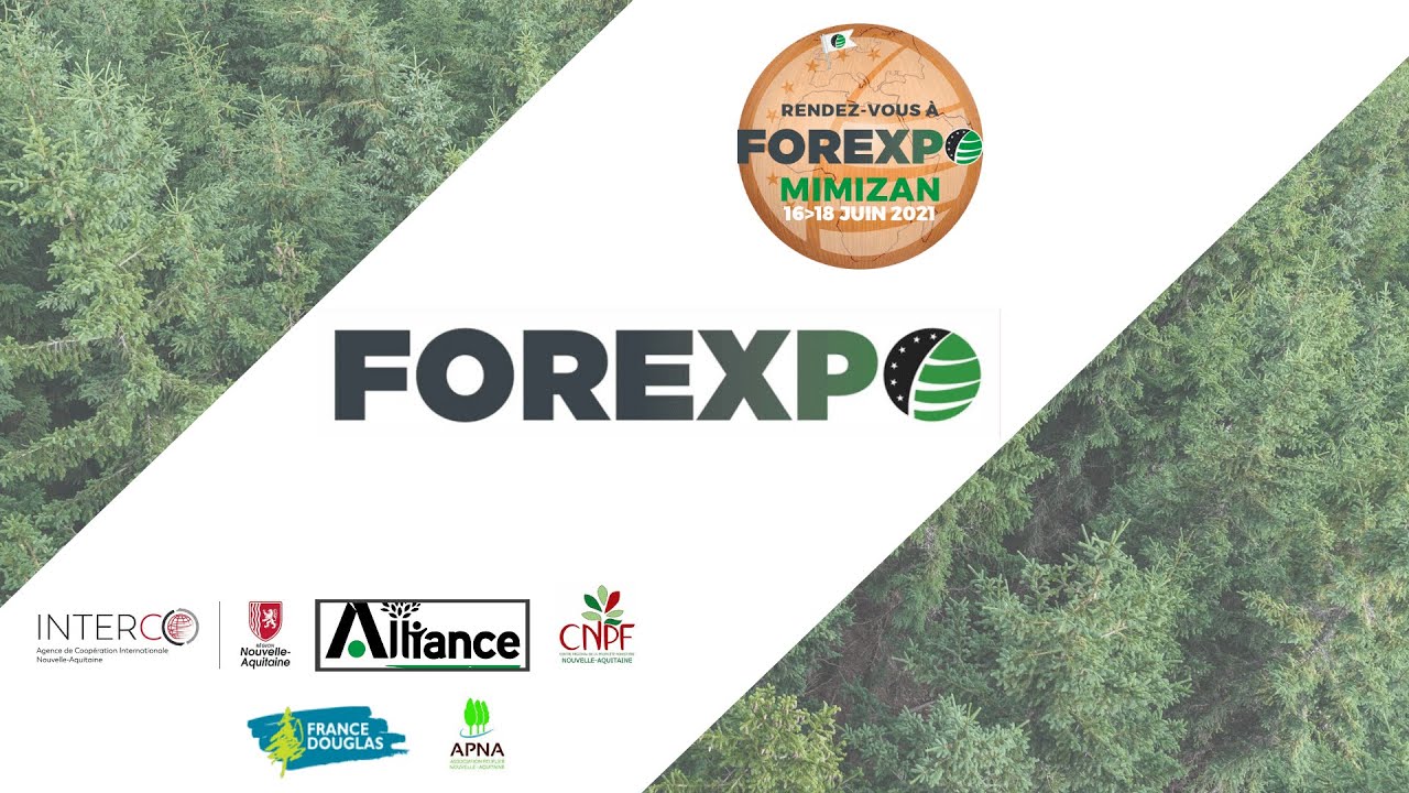 Essence Pin Maritime-Visites techniques FOREXPO