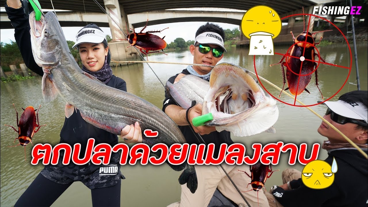 จับ..แมลงสาบ!!!  ไปตกปลาแม่น้ำเจ้าพระยา FISHINGEZ