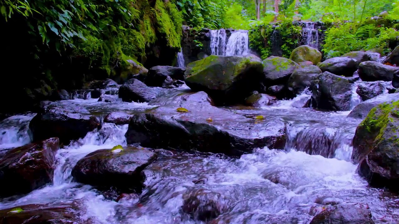 Gentle Mountain River Flowing Sounds for Meditation and Mindful Focus