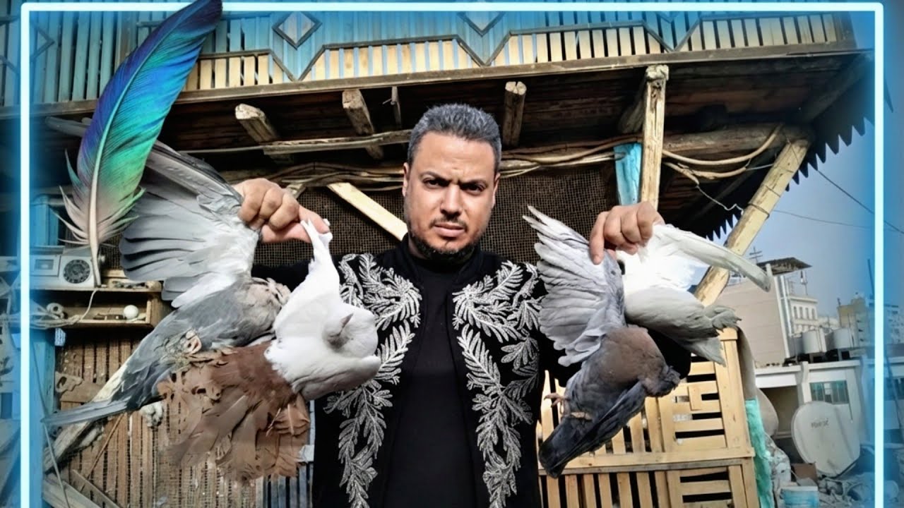 روحت سوق اسكندريه❤وقابلت احلى ناس🤷🏻لكن رجعت لقيت حاجات مش ظريفه خالص🤦🏻#pigeon 