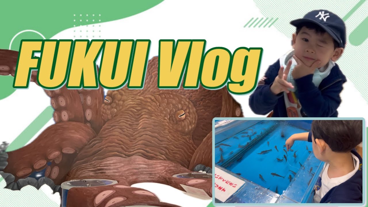 福井の新スポットも満喫！5歳児と巡る「越前松島水族館」＆親子旅の記録