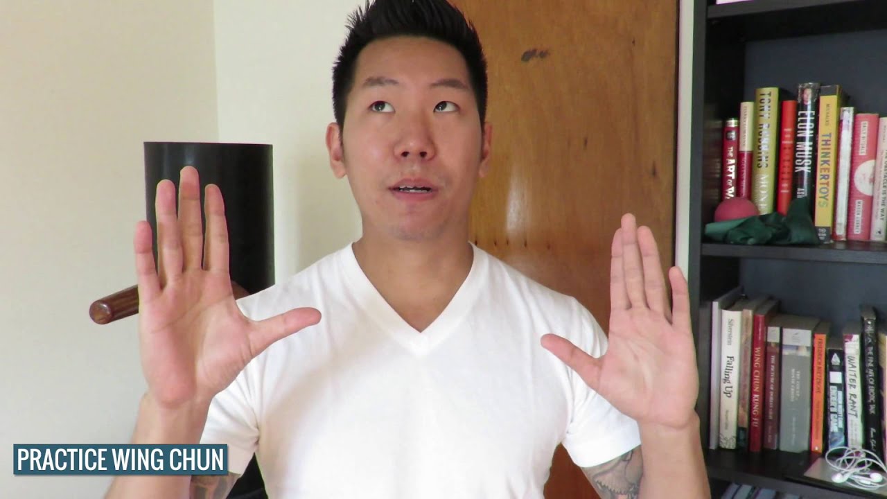 Practice Wing Chun #011 - Meeting Different Wing Chun Lineages and Styles