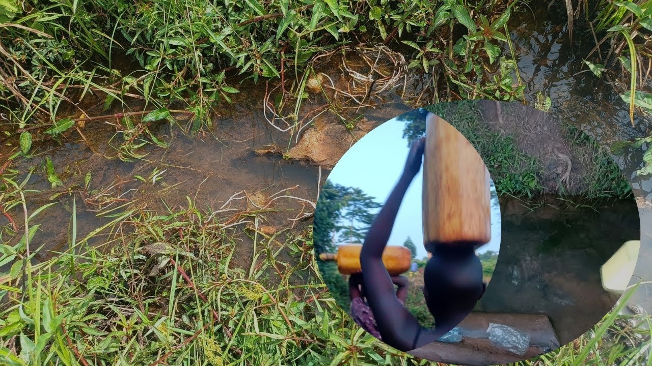 Fetching water for Domestic Use. Public Stream. #africangirl #cleanwater 