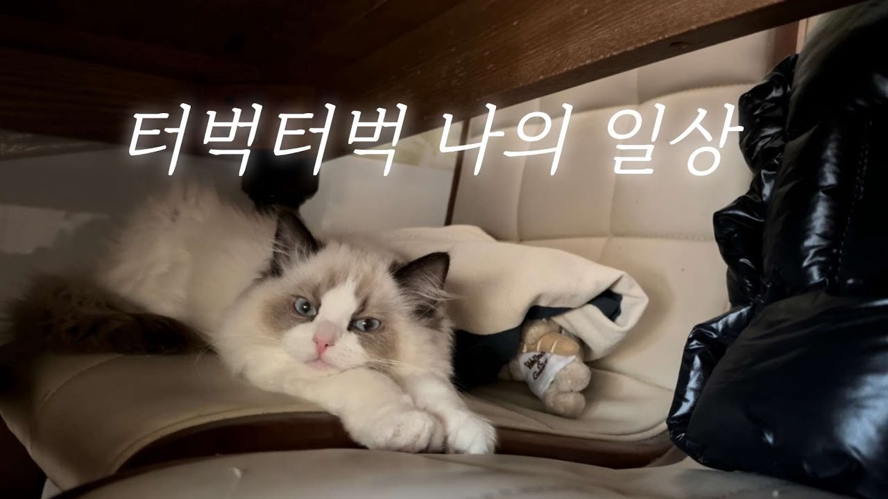 터벅터벅터벅 나의 일상