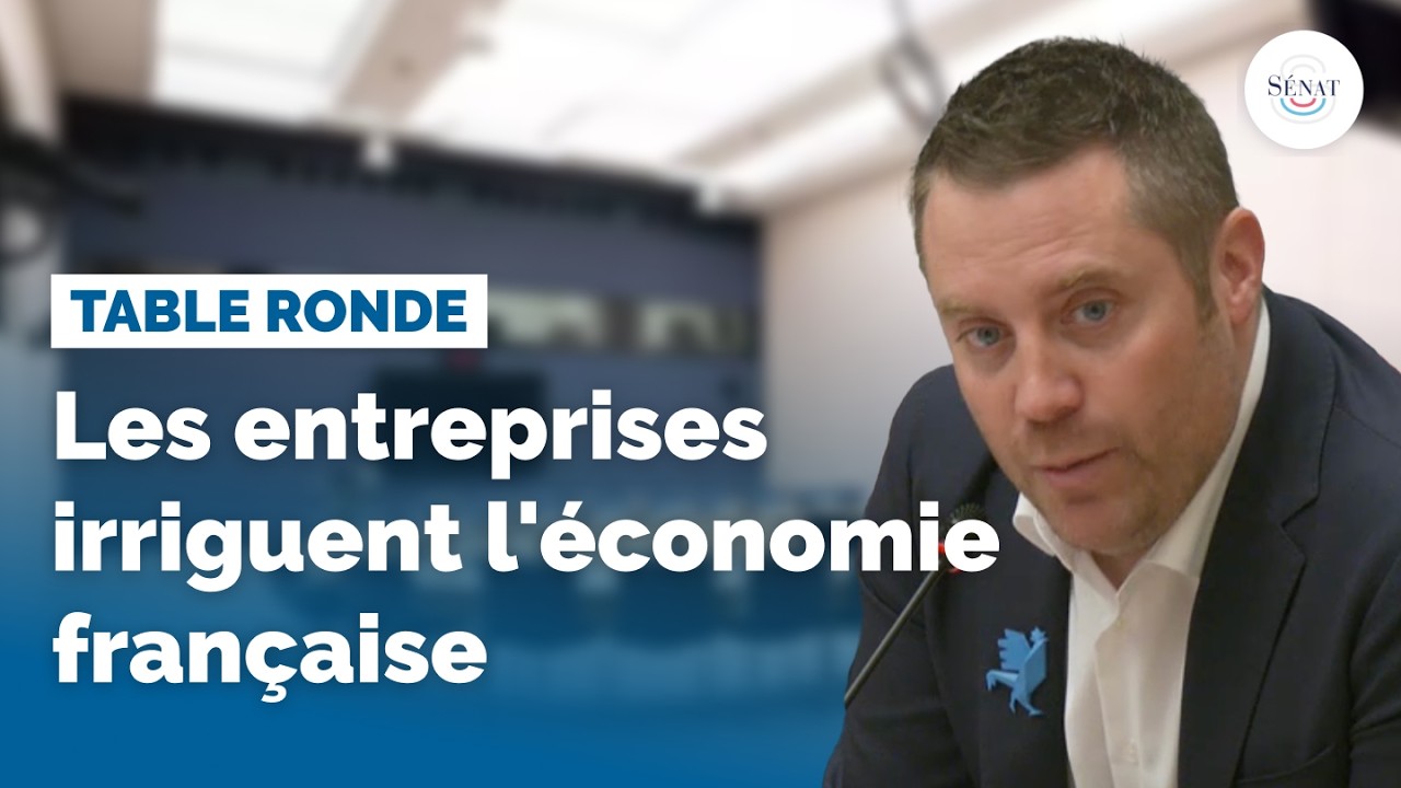 Les entreprises irriguent l'économie française