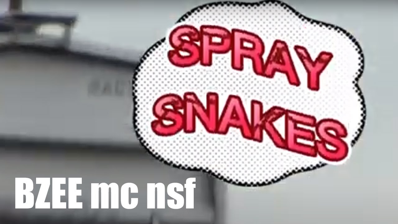 SPRAY SNAKES | Bzee MC NSF - 90's to early 00's NYC graffiti streets, Richmond, Freights, and more.