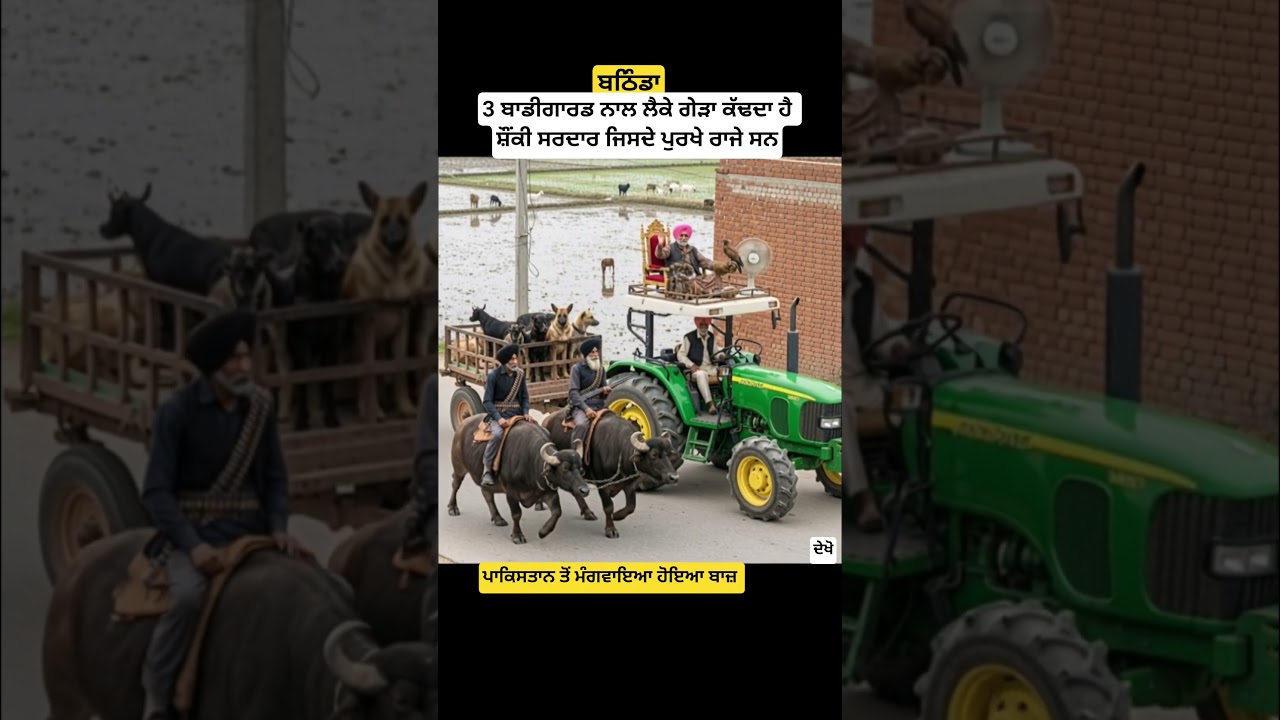 3 ਬਾਡੀਗਾਰਡ ਨਾਲ ਲੈਕੇ ਗੇੜਾ ਕੱਢਦਾ ਹੈ ਸ਼ੌਂਕੀ ਸਰਦਾਰ ਜਿਸਦੇ ਪੁਰਖੇ ਰਾਜੇ ਸਨ , ਪੰਜਾਬ 