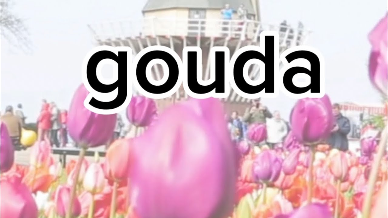 🇳🇱 CIUDADES DE HOLANDA: GOUDA Y EL QUESO! | Michelle Garres