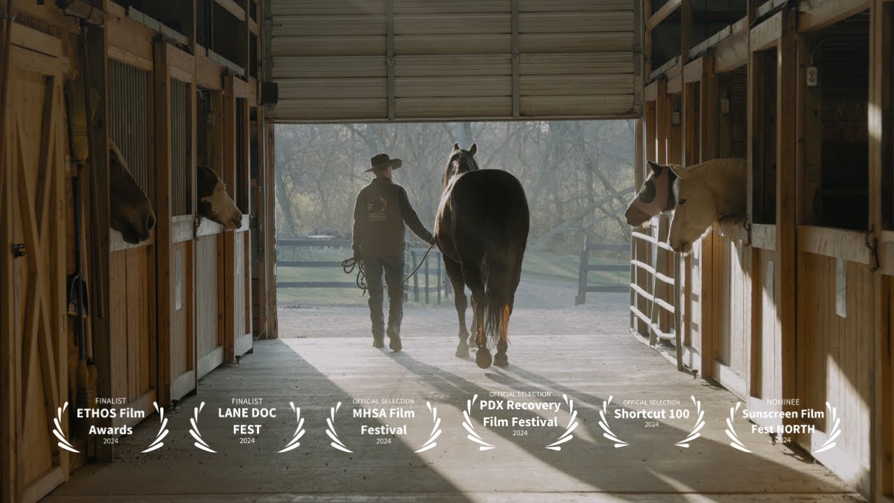 The Power of Horses | Supporting Mental Health in Rural Communities