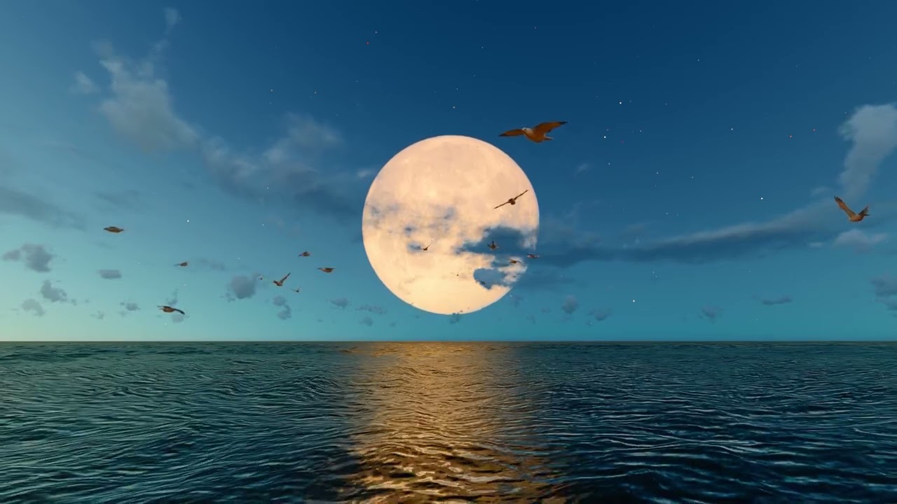 Calm instrumental music with a warm, peaceful mood. 