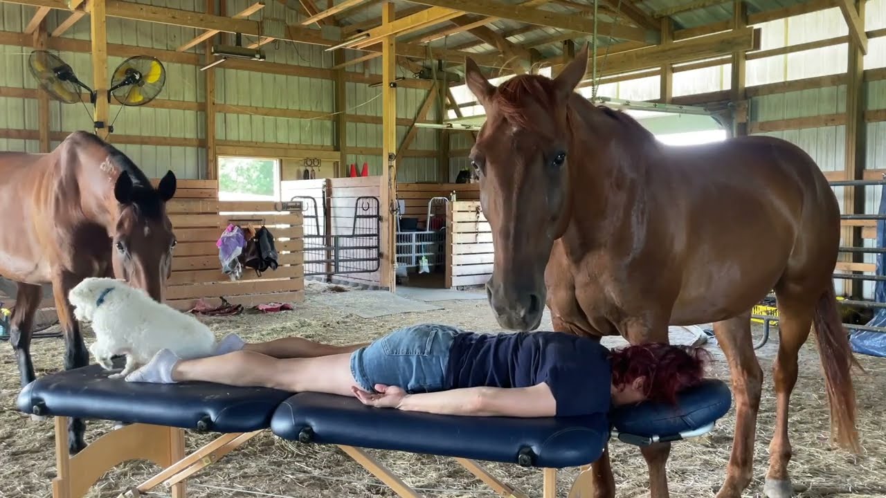 Equine Facilitated Healing Session