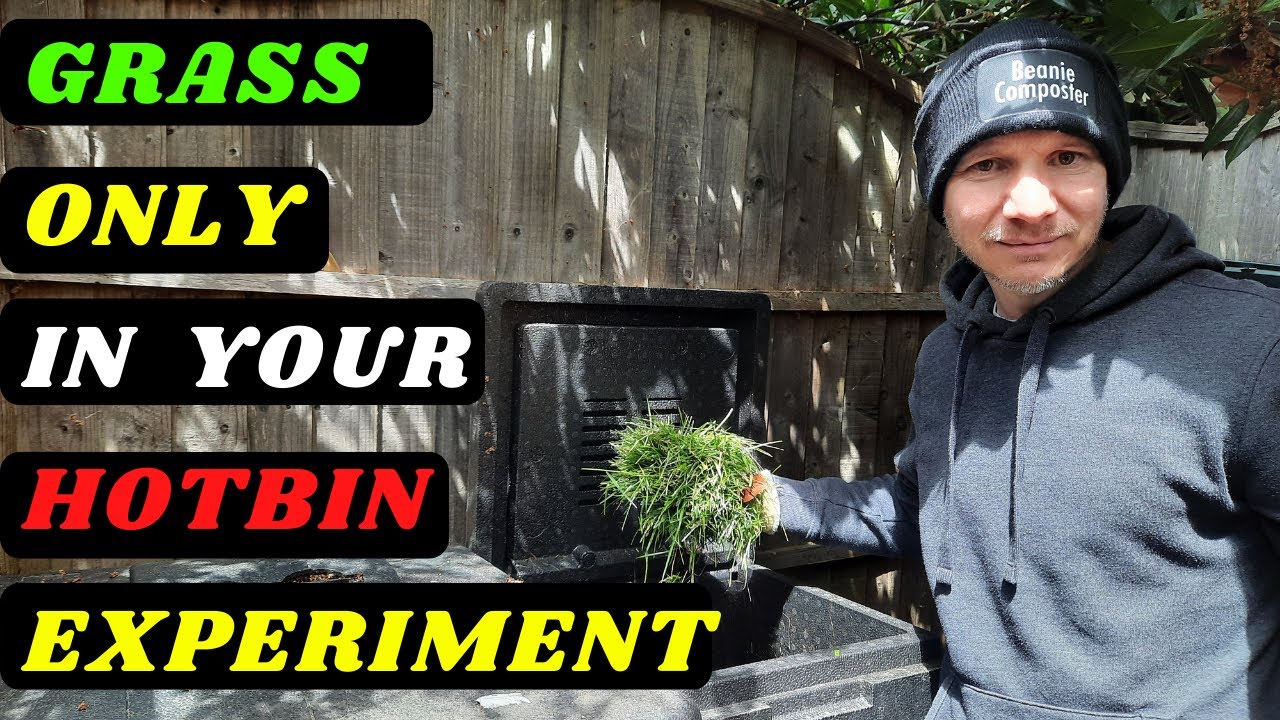 Grass Only In The Hotbin (Experiment @BeanieComposter)