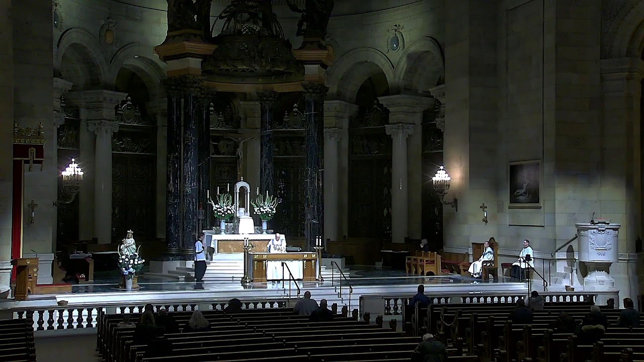 Cathedral of Saint Paul Live Stream - Mass 02-11-2026