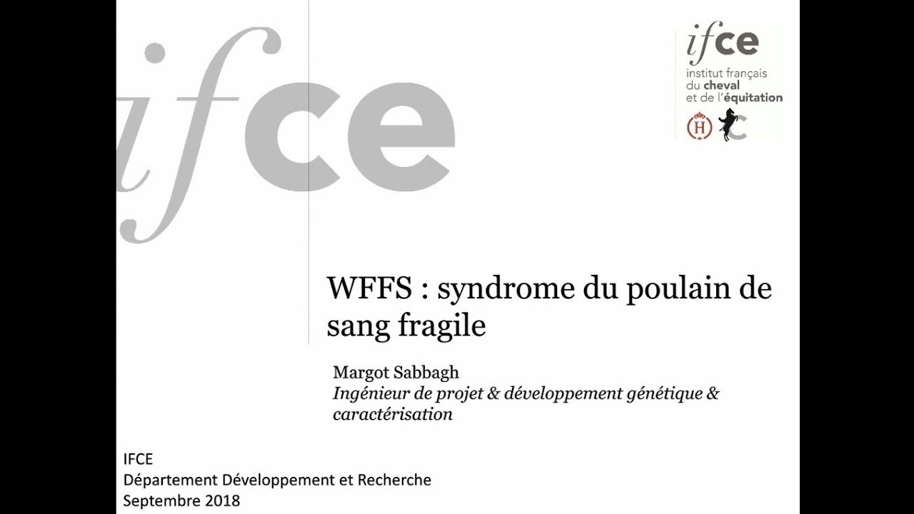 WFFS syndrome du poulain de sang fragile - Margot Sabbagh