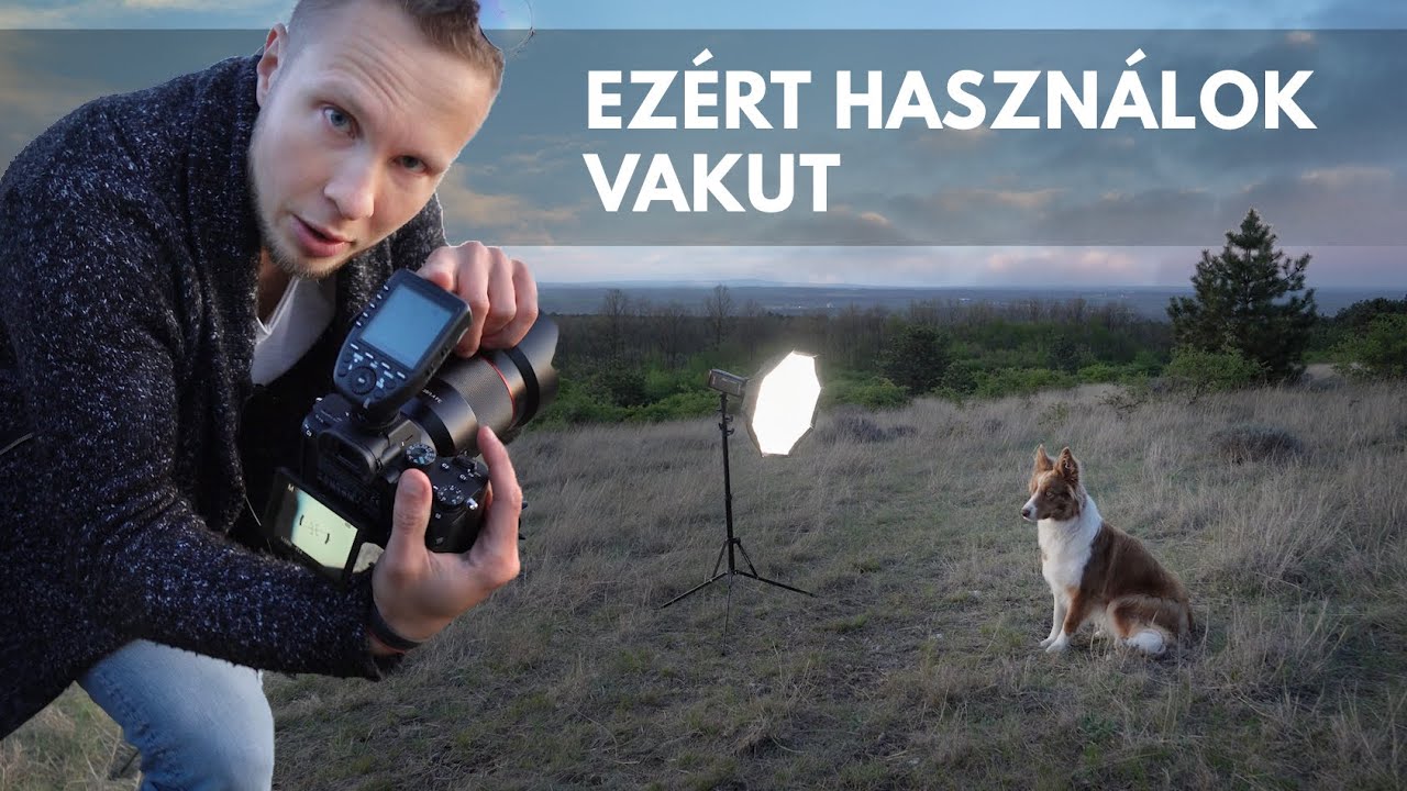 Ezért használok vakut a mezőn // Kutya fotózás VLOG